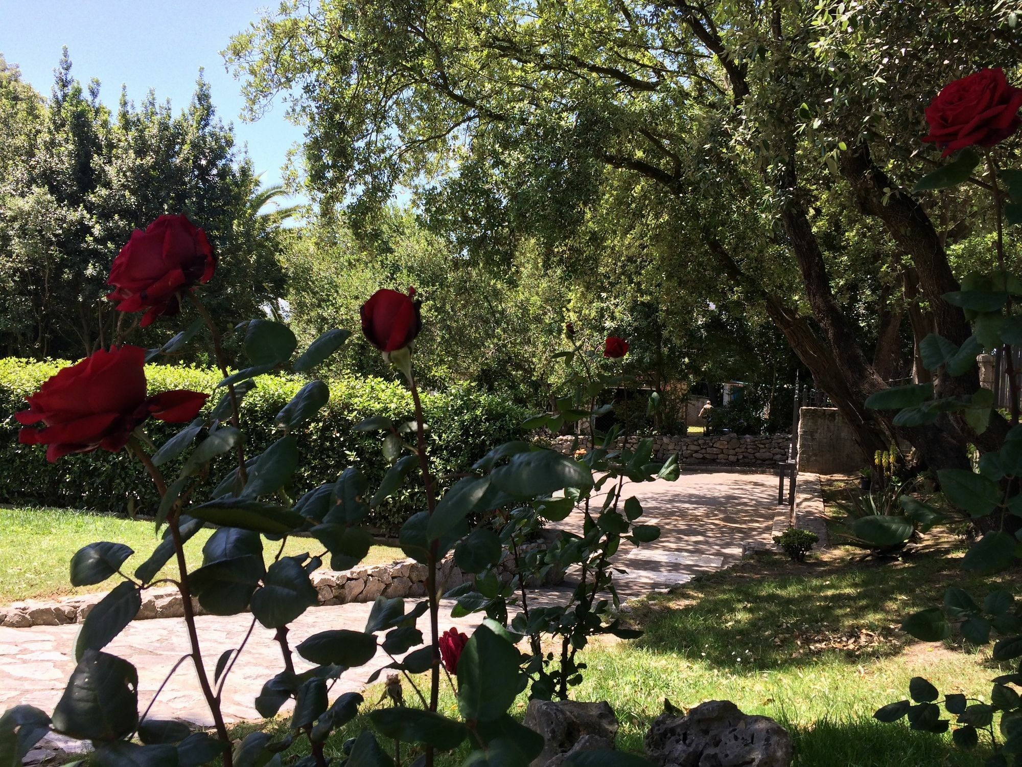 Hotel Posada La Robleda (Adults Only) Арнуеро Екстер'єр фото